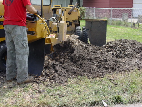 ./Gallery/2011 Bennet Lot Tree Removal/DSC06478.JPG